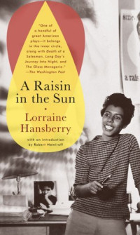 Image of A Raisin in the Sun