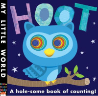 Hoot: A Hole Some Book of Counting