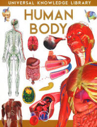 Image of Human Body