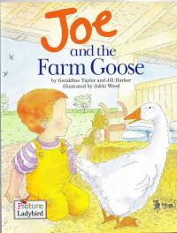 Joe and the Farm Goose