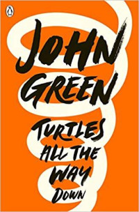 Image of Turtles All the Way Down